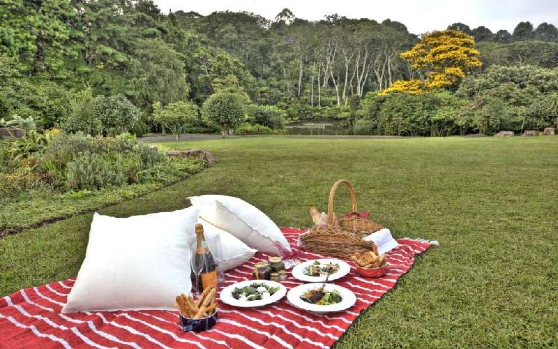 https://mdw-travel-data-us-east-1.s3.amazonaws.com/img/country/South-Africa/Makaranga-Garden-Lodge/img_02.jpg