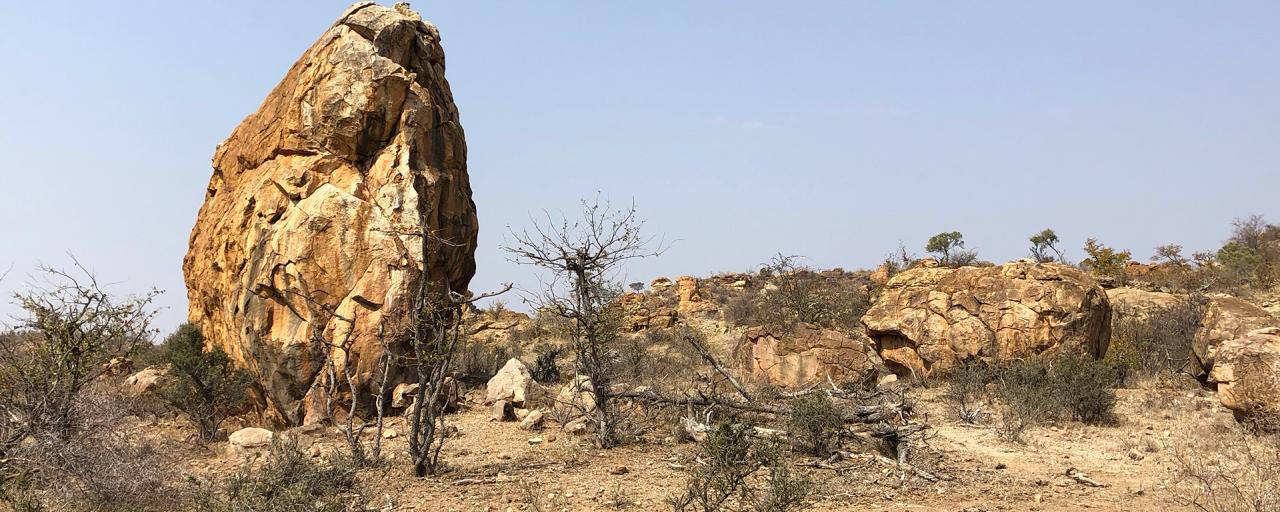 https://mdw-travel-data-us-east-1.s3.amazonaws.com/img/country/South-Africa/Mapungubwe-National-Park/img_02.jpg