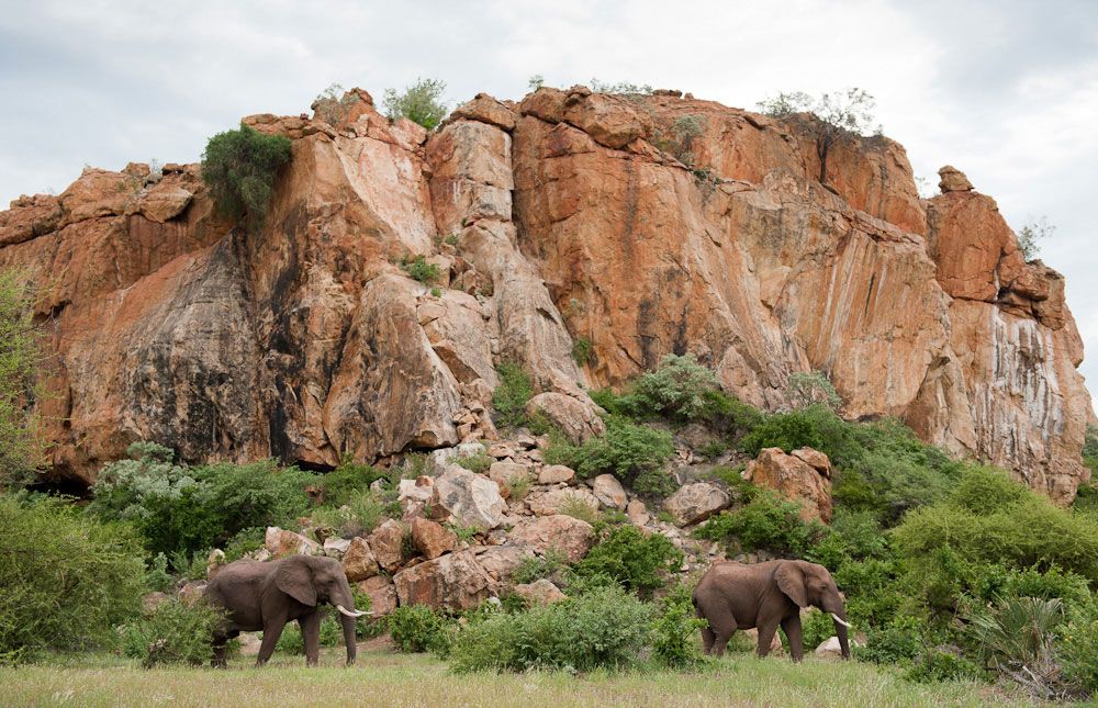 https://mdw-travel-data-us-east-1.s3.amazonaws.com/img/country/South-Africa/Mapungubwe-National-Park/img_03.jpg