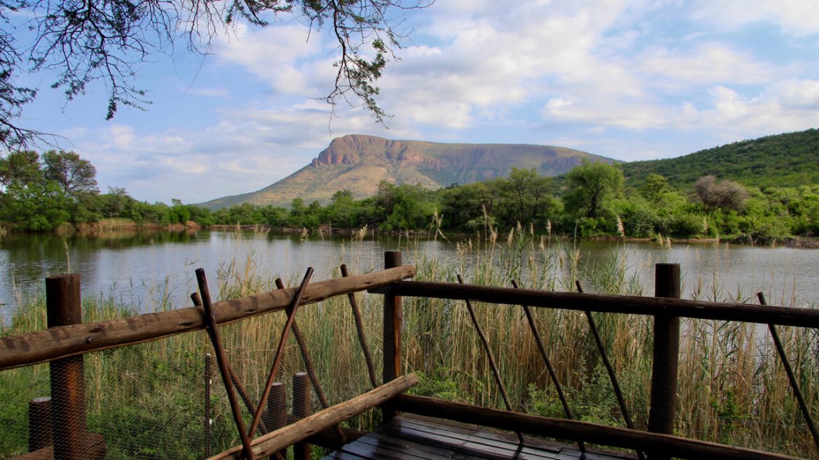 https://mdw-travel-data-us-east-1.s3.amazonaws.com/img/country/South-Africa/Marakele-National-Park/img_02.jpg