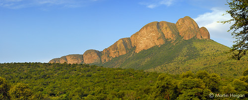 https://mdw-travel-data-us-east-1.s3.amazonaws.com/img/country/South-Africa/Marakele-National-Park/img_05.jpg