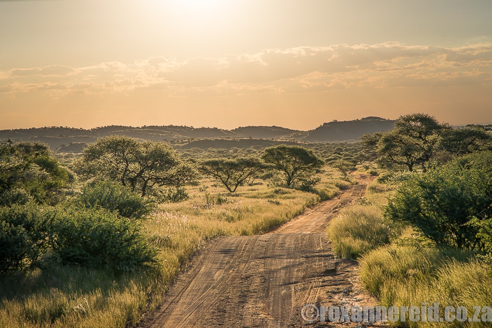 https://mdw-travel-data-us-east-1.s3.amazonaws.com/img/country/South-Africa/Mokala-National-Park/img_00.jpg