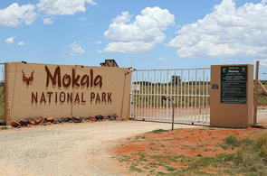 https://mdw-travel-data-us-east-1.s3.amazonaws.com/img/country/South-Africa/Mokala-National-Park/img_01.jpg