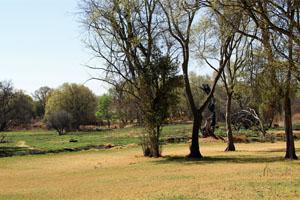 https://mdw-travel-data-us-east-1.s3.amazonaws.com/img/country/South-Africa/Molemane-Eye-Nature-Reserve/img_02.jpg