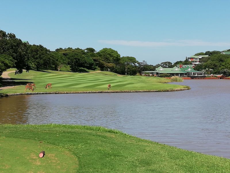 https://mdw-travel-data-us-east-1.s3.amazonaws.com/img/country/South-Africa/Mount-Edgecombe-Country-Club/img_01.jpg