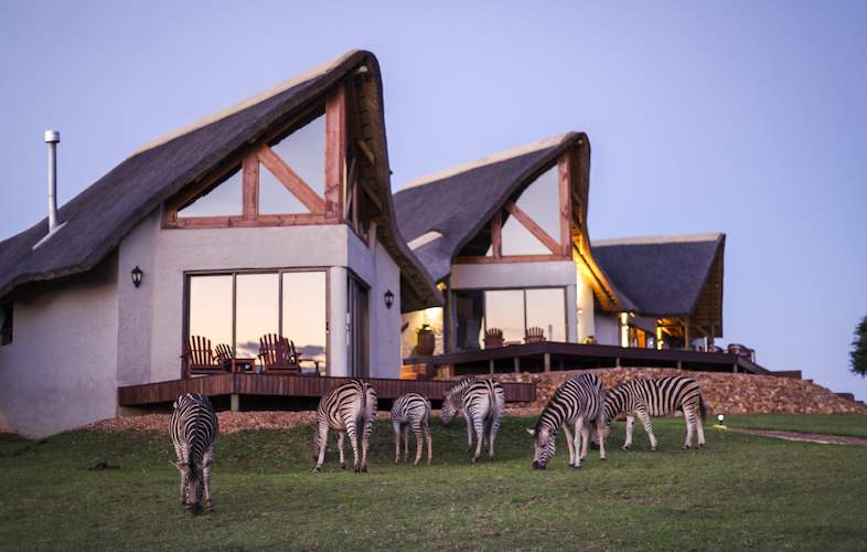 https://mdw-travel-data-us-east-1.s3.amazonaws.com/img/country/South-Africa/Mountain-Zebra-National-Park/img_01.jpg