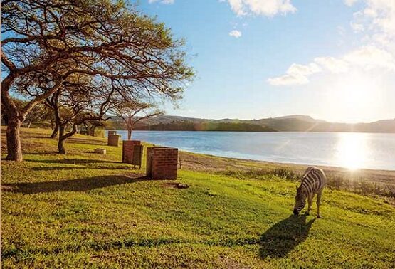https://mdw-travel-data-us-east-1.s3.amazonaws.com/img/country/South-Africa/Msinsi-Albert-Falls-Dam-and-Game-Reserve/img_01.jpg