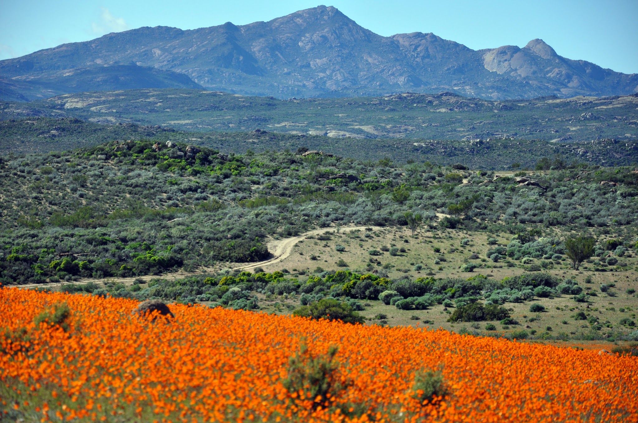 https://mdw-travel-data-us-east-1.s3.amazonaws.com/img/country/South-Africa/Namaqua-National-Park/img_01.jpg