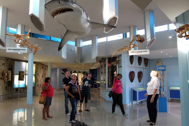 https://mdw-travel-data-us-east-1.s3.amazonaws.com/img/country/South-Africa/Natal-Sharks-Board/img_01.jpg