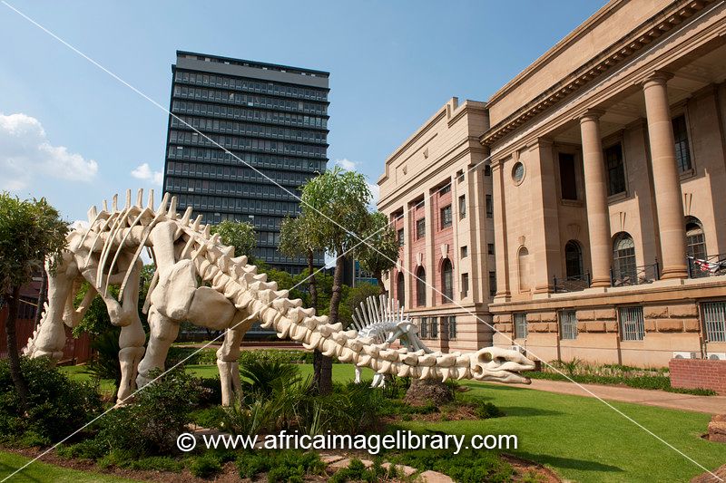 https://mdw-travel-data-us-east-1.s3.amazonaws.com/img/country/South-Africa/National-Museum/img_03.jpg