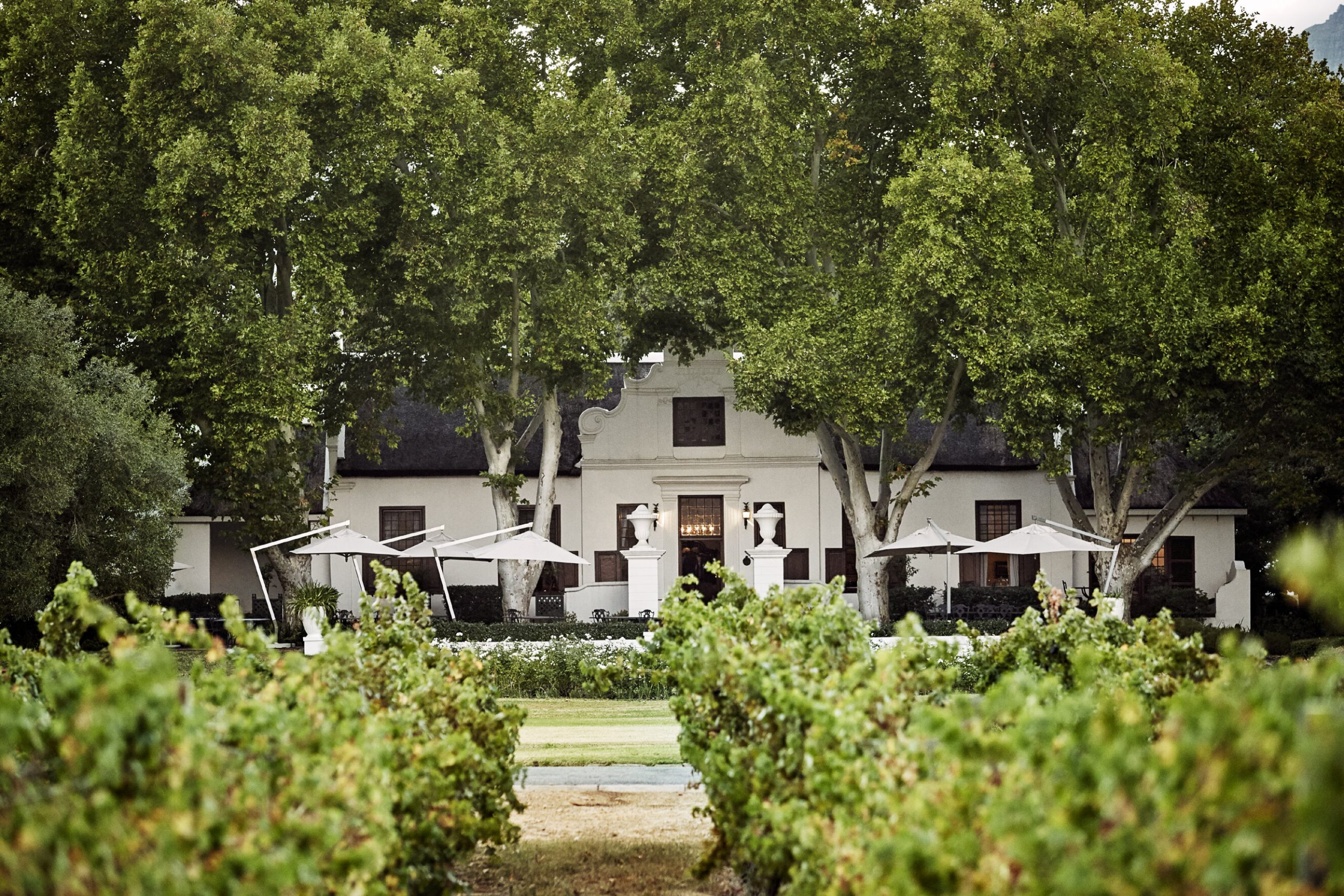 https://mdw-travel-data-us-east-1.s3.amazonaws.com/img/country/South-Africa/Nederburg-Wine-Estate/img_00.jpg