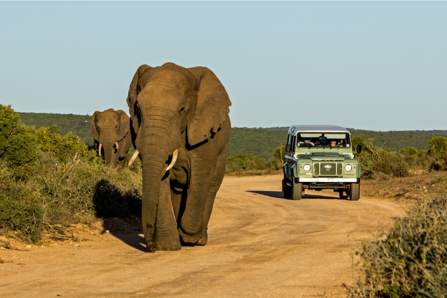 https://mdw-travel-data-us-east-1.s3.amazonaws.com/img/country/South-Africa/North-West-Parks-and-Tourism-Board/img_00.jpg