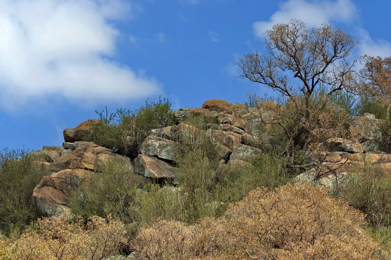 https://mdw-travel-data-us-east-1.s3.amazonaws.com/img/country/South-Africa/Pilanesberg-National-Park/img_01.jpg