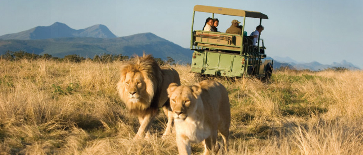 https://mdw-travel-data-us-east-1.s3.amazonaws.com/img/country/South-Africa/Plettenberg-Bay-Game-Reserve/img_00.jpg