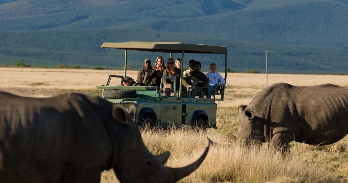 https://mdw-travel-data-us-east-1.s3.amazonaws.com/img/country/South-Africa/Plettenberg-Bay-Game-Reserve/img_03.jpg