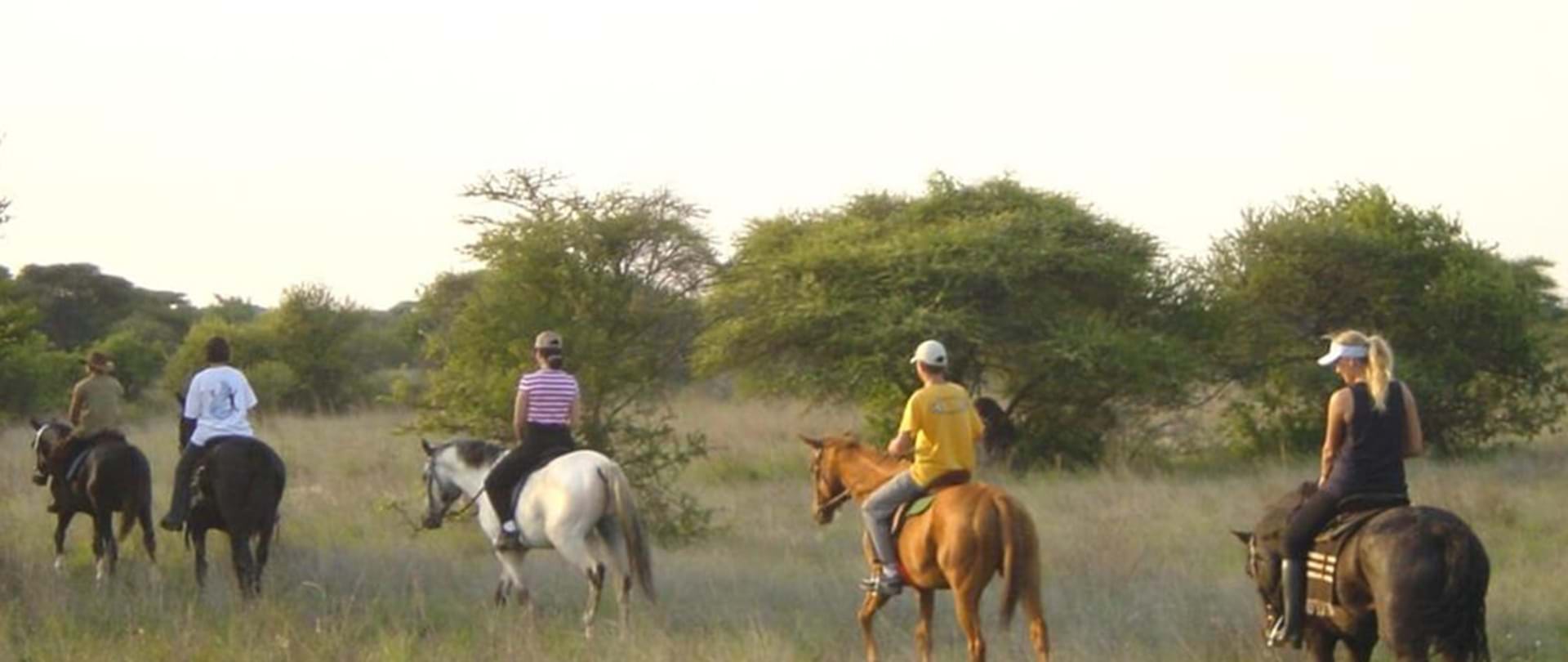https://mdw-travel-data-us-east-1.s3.amazonaws.com/img/country/South-Africa/Polokwane-Game-Reserve/img_01.jpg