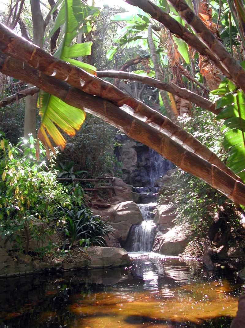 https://mdw-travel-data-us-east-1.s3.amazonaws.com/img/country/South-Africa/Pretoria-National-Botanical-Garden/img_00.jpg