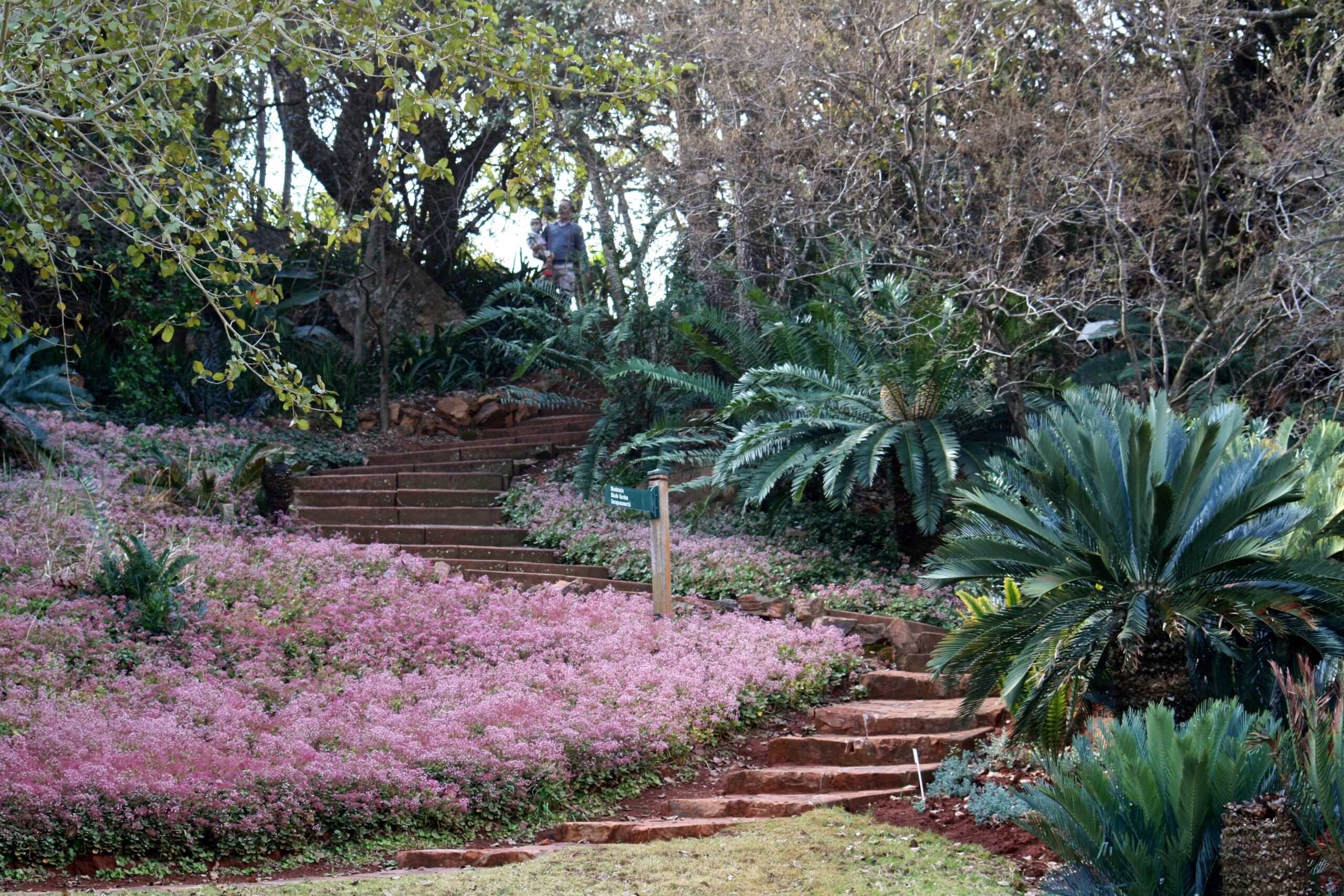 https://mdw-travel-data-us-east-1.s3.amazonaws.com/img/country/South-Africa/Pretoria-National-Botanical-Garden/img_02.jpg