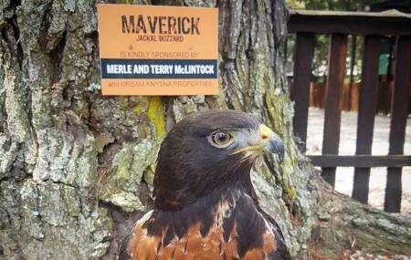 https://mdw-travel-data-us-east-1.s3.amazonaws.com/img/country/South-Africa/Radical-Raptors/img_03.jpg