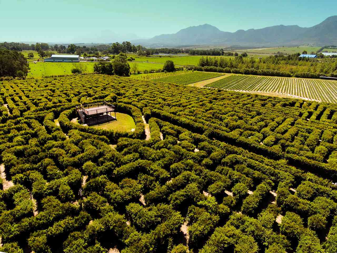 https://mdw-travel-data-us-east-1.s3.amazonaws.com/img/country/South-Africa/Redberry-Farm/img_00.jpg