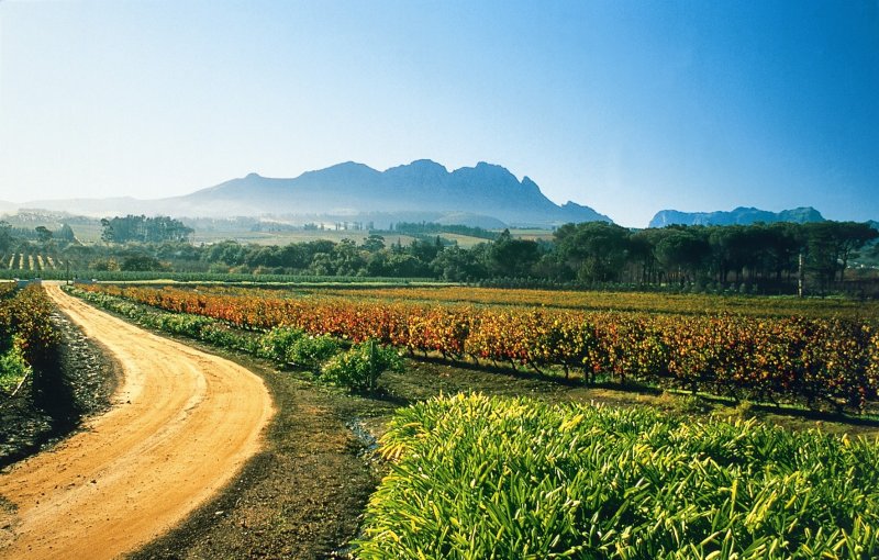 https://mdw-travel-data-us-east-1.s3.amazonaws.com/img/country/South-Africa/Rhebokskloof-Wine-Estate/img_01.jpg