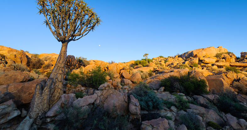 https://mdw-travel-data-us-east-1.s3.amazonaws.com/img/country/South-Africa/Richtersveld-National-Park/img_01.jpg