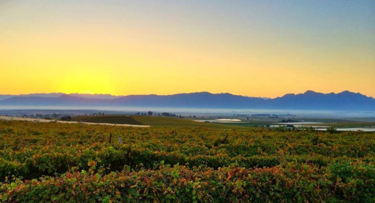 https://mdw-travel-data-us-east-1.s3.amazonaws.com/img/country/South-Africa/Riebeek-Valley/img_01.jpg