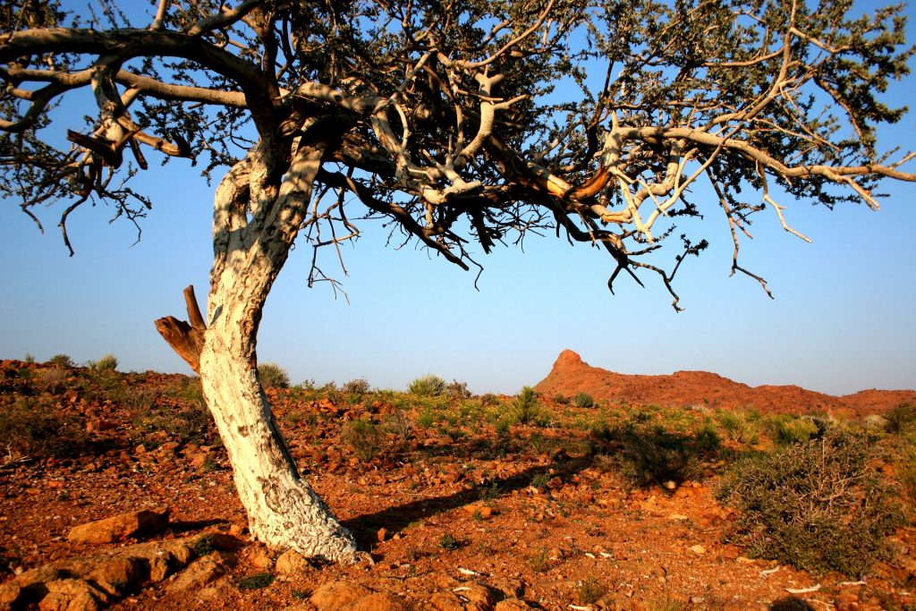 https://mdw-travel-data-us-east-1.s3.amazonaws.com/img/country/South-Africa/Riemvasmaak-Hot-Springs/img_02.jpg