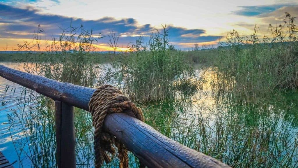 https://mdw-travel-data-us-east-1.s3.amazonaws.com/img/country/South-Africa/Rietvlei-Nature-Reserve/img_00.jpg