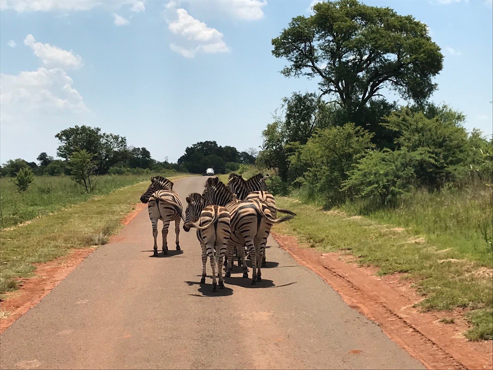 https://mdw-travel-data-us-east-1.s3.amazonaws.com/img/country/South-Africa/Rietvlei-Nature-Reserve/img_02.jpg