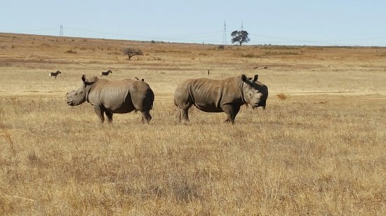 https://mdw-travel-data-us-east-1.s3.amazonaws.com/img/country/South-Africa/Rietvlei-Nature-Reserve/img_03.jpg