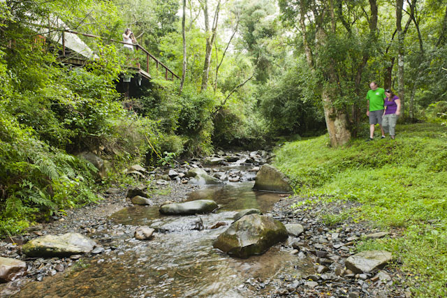 https://mdw-travel-data-us-east-1.s3.amazonaws.com/img/country/South-Africa/Rockwood-Lodges-&-Wedding-Venue/img_01.jpg