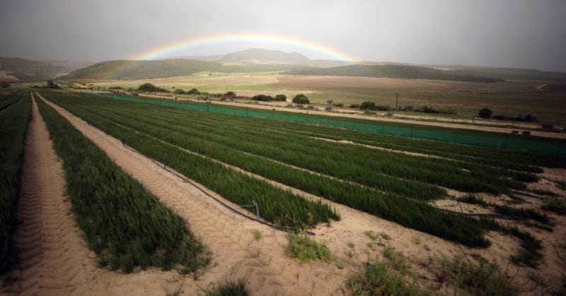 https://mdw-travel-data-us-east-1.s3.amazonaws.com/img/country/South-Africa/Rooibos-Tea-Route/img_03.jpg