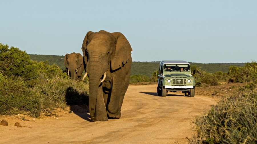 https://mdw-travel-data-us-east-1.s3.amazonaws.com/img/country/South-Africa/Route-103-Restaurant-and-Lounge/img_00.jpg