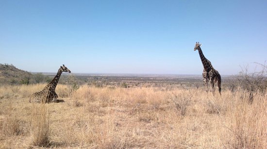 https://mdw-travel-data-us-east-1.s3.amazonaws.com/img/country/South-Africa/Rustenburg-Nature-Reserve/img_01.jpg