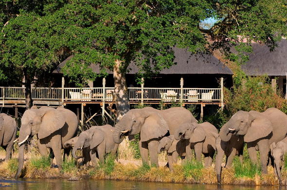 https://mdw-travel-data-us-east-1.s3.amazonaws.com/img/country/South-Africa/Sabi-Sand-Game-Reserve/img_03.jpg