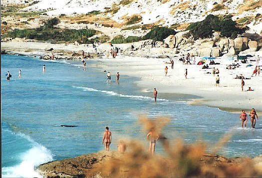 https://mdw-travel-data-us-east-1.s3.amazonaws.com/img/country/South-Africa/Sandy-Bay-Beach/img_01.jpg