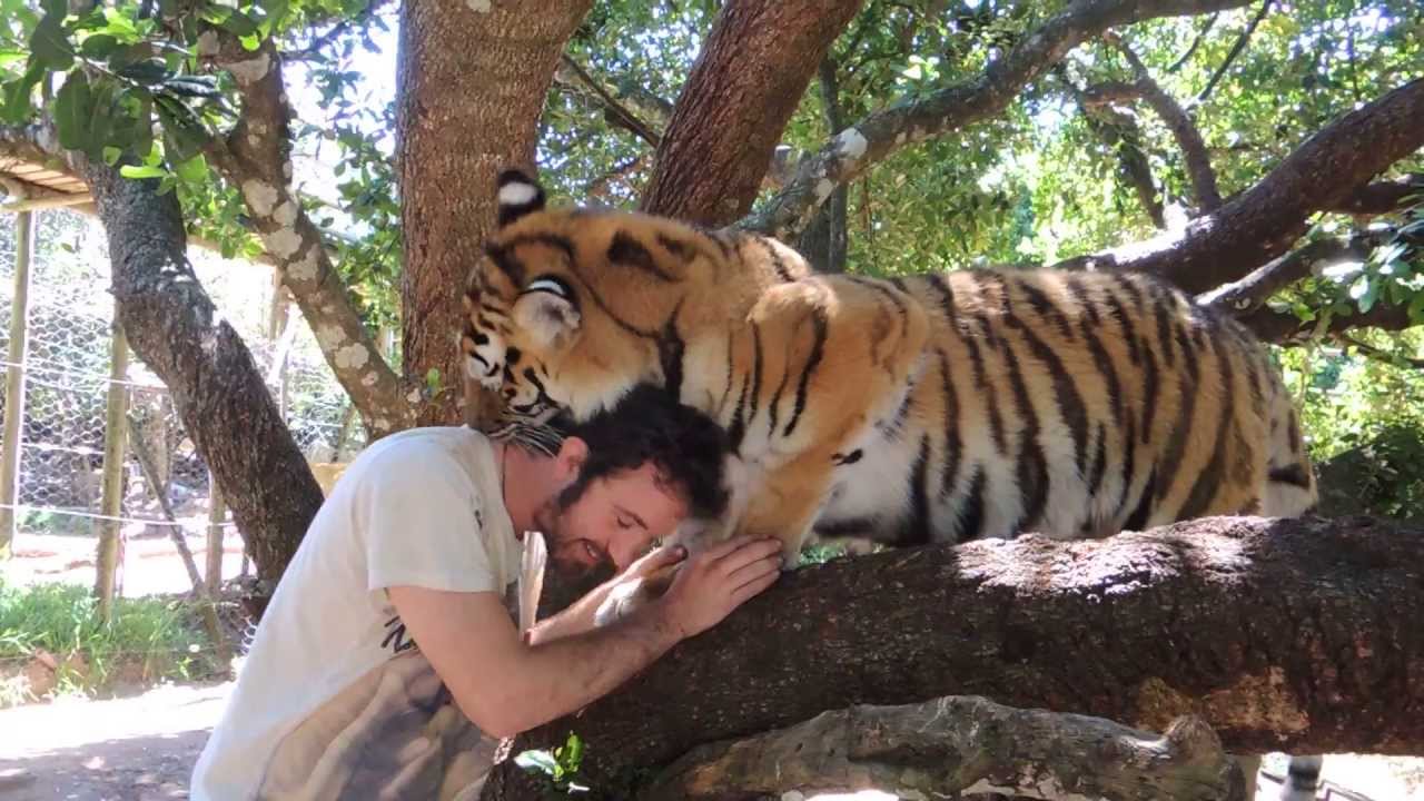 https://mdw-travel-data-us-east-1.s3.amazonaws.com/img/country/South-Africa/Seaview-Game-&-Lion-Park/img_03.jpg