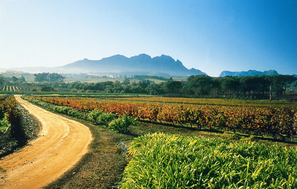 https://mdw-travel-data-us-east-1.s3.amazonaws.com/img/country/South-Africa/Simonsig-Wine-Estate/img_01.jpg