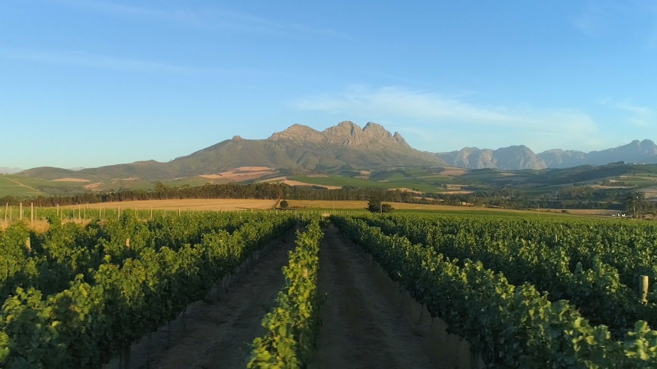 https://mdw-travel-data-us-east-1.s3.amazonaws.com/img/country/South-Africa/Simonsig-Wine-Estate/img_02.jpg