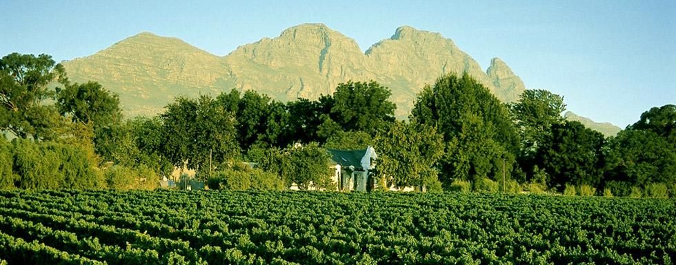 https://mdw-travel-data-us-east-1.s3.amazonaws.com/img/country/South-Africa/Simonsig-Wine-Estate/img_03.jpg