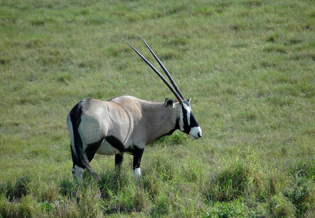https://mdw-travel-data-us-east-1.s3.amazonaws.com/img/country/South-Africa/Soetdoring-Nature-Reserve/img_01.jpg