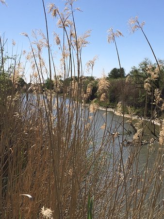 https://mdw-travel-data-us-east-1.s3.amazonaws.com/img/country/South-Africa/Soetdoring-Nature-Reserve/img_02.jpg