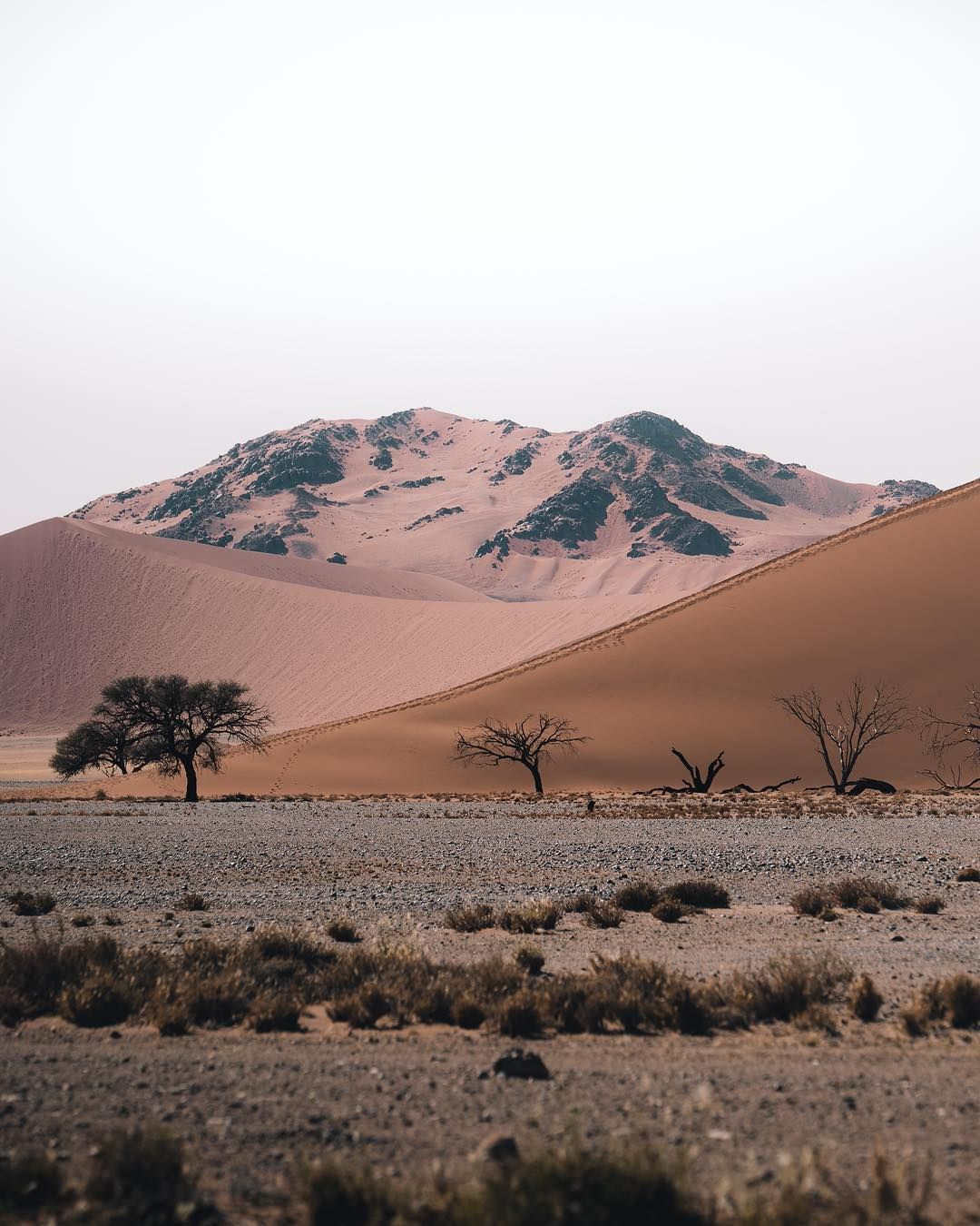 https://mdw-travel-data-us-east-1.s3.amazonaws.com/img/country/South-Africa/South-Africa---Namibia-Border/img_01.jpg