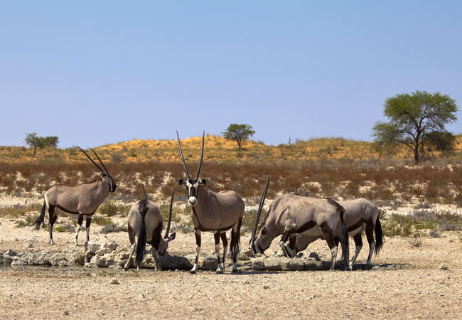 https://mdw-travel-data-us-east-1.s3.amazonaws.com/img/country/South-Africa/Spitskop-Nature-Reserve/img_01.jpg