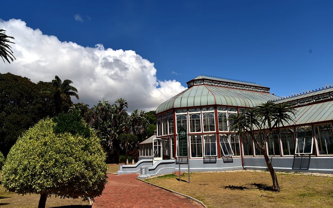 https://mdw-travel-data-us-east-1.s3.amazonaws.com/img/country/South-Africa/St-Georges-Park/img_03.jpg