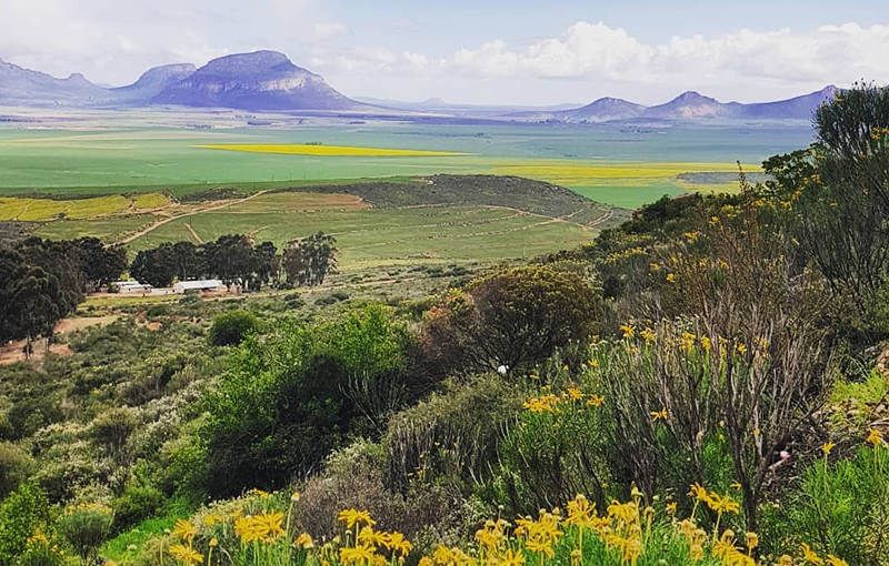 https://mdw-travel-data-us-east-1.s3.amazonaws.com/img/country/South-Africa/Stellaland/img_03.jpg