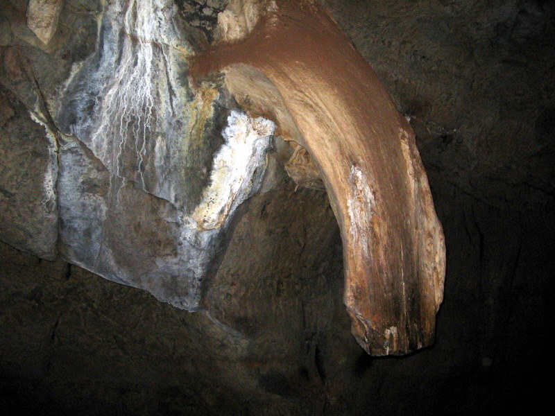 https://mdw-travel-data-us-east-1.s3.amazonaws.com/img/country/South-Africa/Sudwala-Caves/img_03.jpg