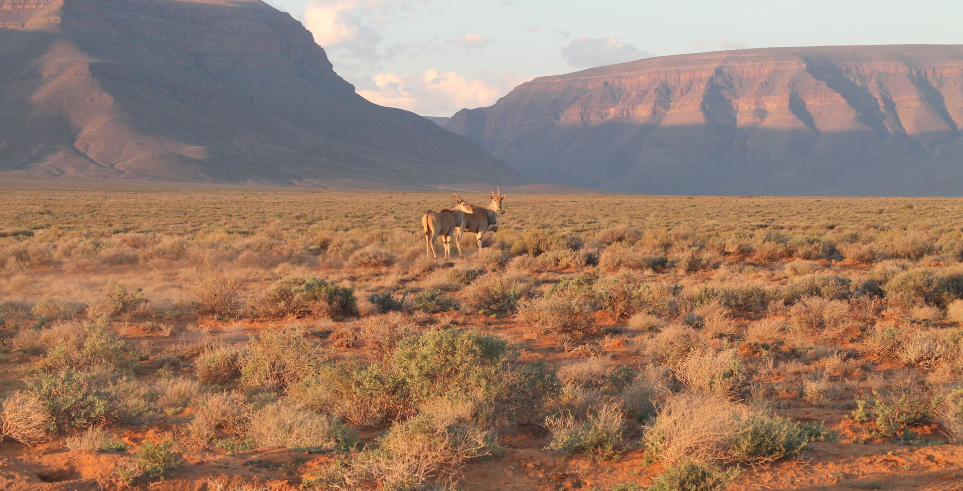 https://mdw-travel-data-us-east-1.s3.amazonaws.com/img/country/South-Africa/Tankwa-Karoo-National-Park/img_02.jpg