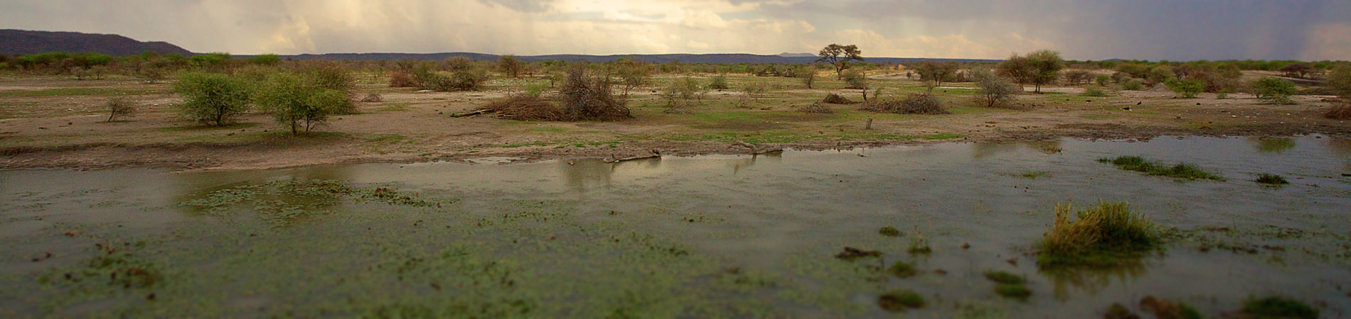 https://mdw-travel-data-us-east-1.s3.amazonaws.com/img/country/South-Africa/Taung-Heritage-Site/img_01.jpg